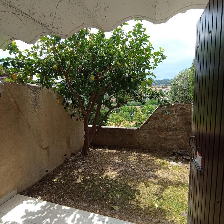 3cpf29 Avec Jardinet Et Parking, Proche Centre-ville Apartment Collioure